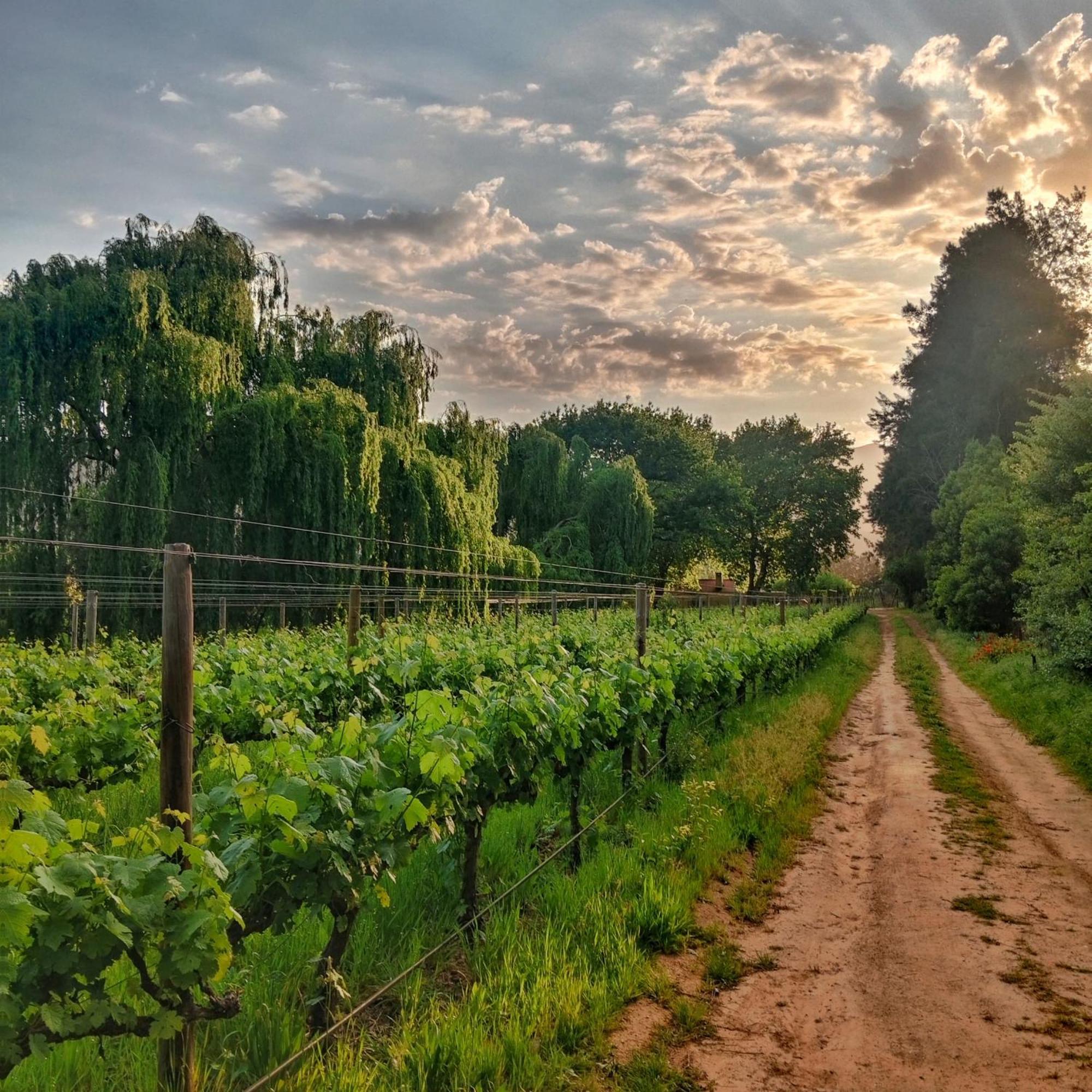 Cabernet Cottage Be Still And Know فرانستشوك المظهر الخارجي الصورة