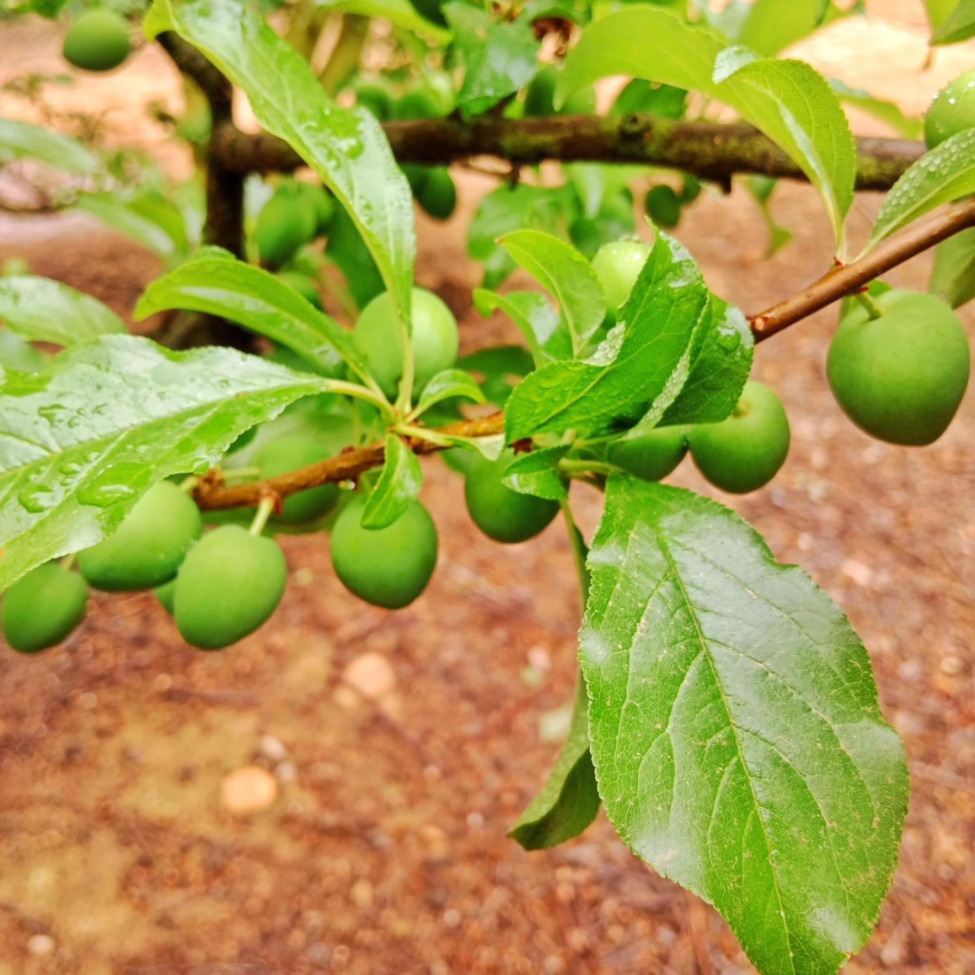 Cabernet Cottage Be Still And Know فرانستشوك المظهر الخارجي الصورة