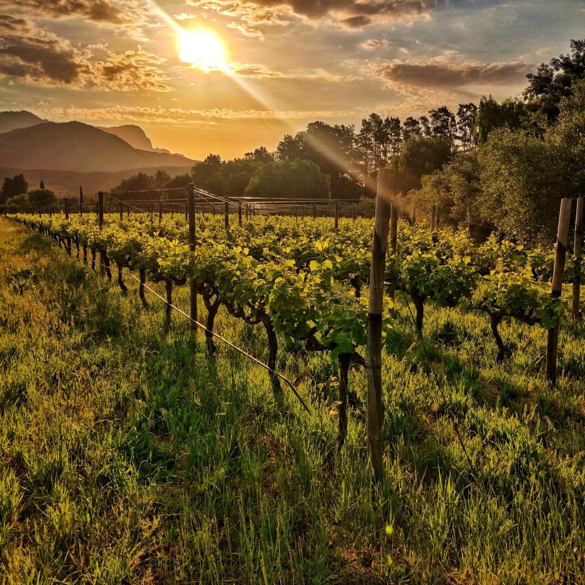 Cabernet Cottage Be Still And Know فرانستشوك المظهر الخارجي الصورة